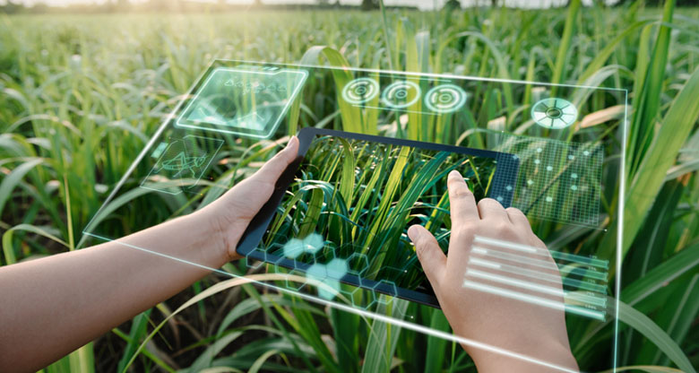 AI in agtech